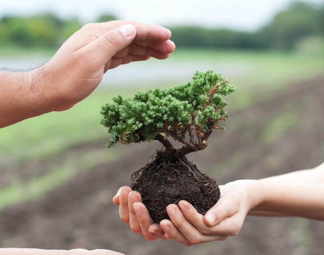 gurukul foundation greenskilling